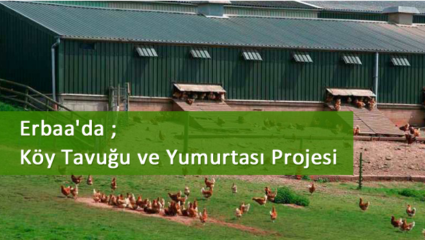 Erbaa'da ''Köy Tavuğu ve Yumurtası Projesi''