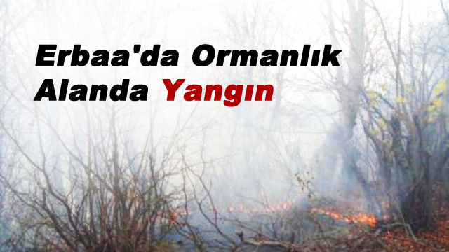 Erbaa'da Ormanlık Alanda Yangın