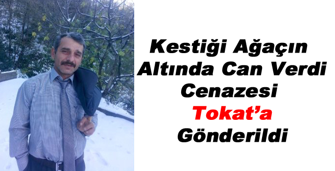 Kestiği Ağacın Altında Can Verdi