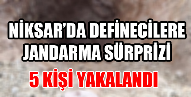 Niksar'da Kaçak Kazı Operasyonu