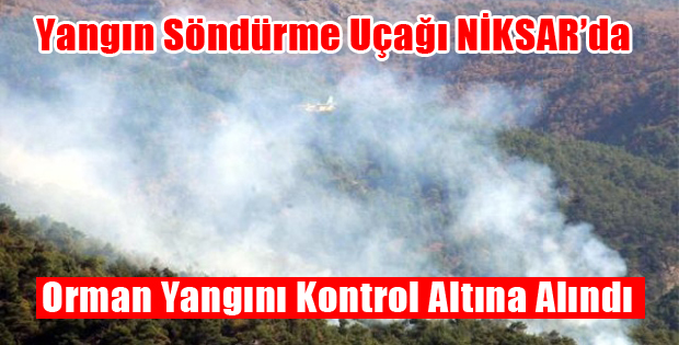 Orman Yangını Sonunda Kontrol Altına Alındı