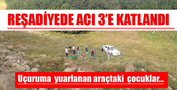 Reşadiye'de  Feci Kaza