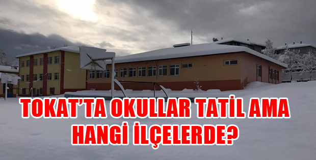 TOKAT'TA HANGİ İLÇELERDE KAR TATİLİ VAR?