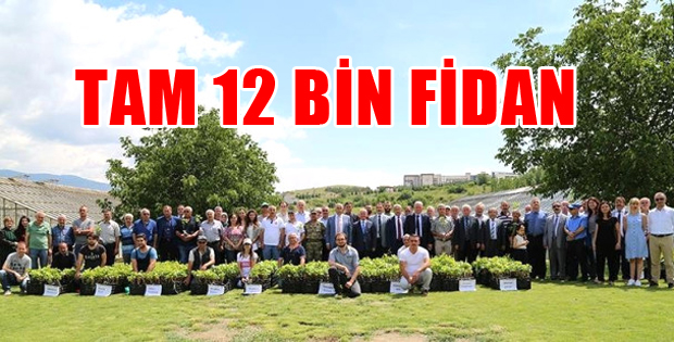 Tokat'ta 12 Bin Adet Bağ Fidanı Dağıtıldı