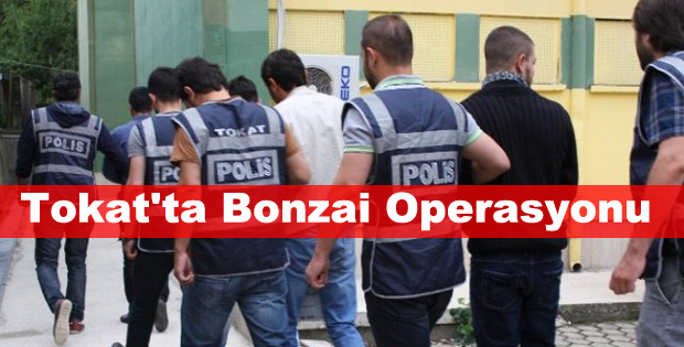 Tokat'ta Bonzai Operasyonu: 9 Tutuklama