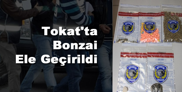 Tokat'ta Uyuşturucu Operasyonu
