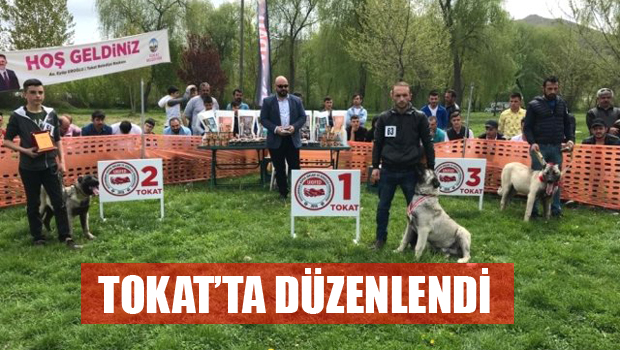 Türk Çoban Köpekleri Festivali 2019
