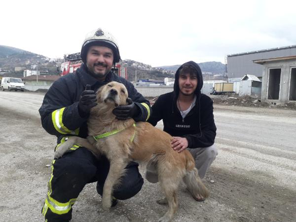 Yangında mahsur kalan köpeği itfaiyeciler kurtardı