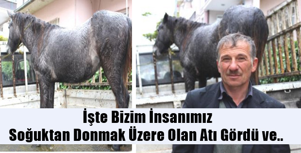 Yaylada Donmak Üzereydi