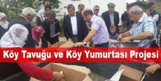  Köy Tavuğu ve Köy Yumurtası Projesi  Devam Ediyor