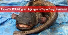 128 Kilogram Ağırlığında Yayın Balığı Yakalandı