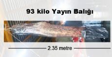 93 Kiloluk Yayın Balığı Olurmu