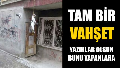 BUNU YAPAN CANİLER ARANIYOR