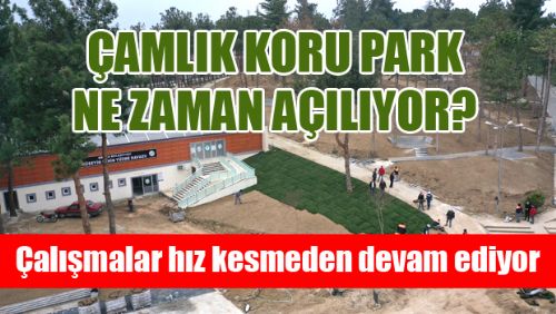 ÇAMLIK KORU PARKTA SONA GELİNİYOR