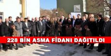 ÇİFTÇİMİZE 228 BİN ASMA FİDANI DAĞITILDI