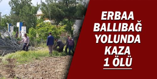 ERBAA BALLIBAĞ YOLUNDA KAZA 1 ÖLÜ