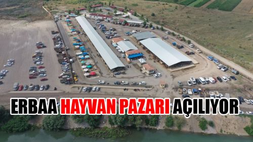 ERBAA HAYVAN PAZARI AÇILIYOR