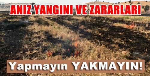 ERBAA VE KÖYLERİNDE ANIZ YANGINI 