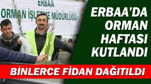 ERBAA'DA ORMAN HAFTASI KUTLANDI