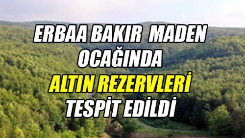 Erbaa Bakır Madeninde Altın Madeni Cevheri Bulundu