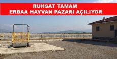 Erbaa Hayvan Pazarı Açılıyor