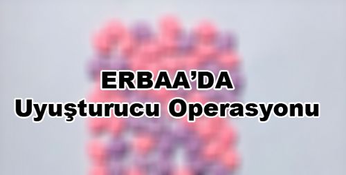 Erbaa'da Uyuşturucu Operasyonu