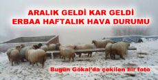 Erbaa'nın Haftalık Hava Durumu