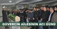 GÜVERCİN AİLESİNİN ACI GÜNÜ