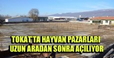 HAYVAN PAZARLARI AÇILIYOR