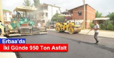 İki Günde 950 Ton Asfalt