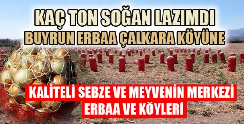 KALİTELİ SOĞAN İŞTE BURDA SİZE KAÇ TON VERELİM