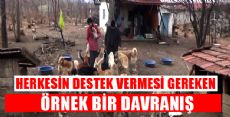 Kendi İmkanlarıyla Barınak Kurdu