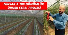 NİKSAR’A 100 DÖNÜMLÜK ÖRNEK SERA  PROJESİ