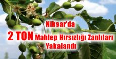 Niksar'da 2 Ton Mahlep Hırsızlığı Zanlıları Yakalandı