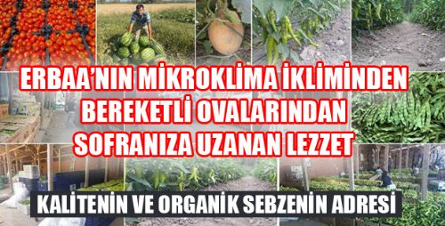 ORGANİK SEBZE VE KALİTENİN ADRESİ ERBAA