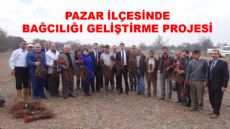 PAZAR’DA BAĞCILIĞI GELİŞTİRME PROJESİ