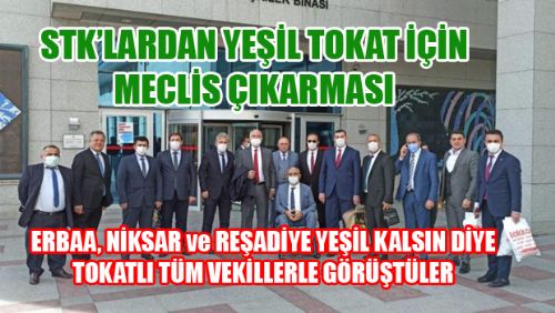 STK BAŞKANLARINDAN YEŞİL ERBAA,NİKSAR VE REŞADİYE İÇİN ANKARA ÇIKARMASI