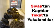 Sivas'tan Kaçtılar Tokat'ta Yakalandılar