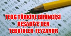 TEOG Türkiye Birincisi Reşadiye'den Çıktı