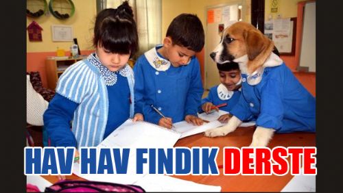 TURHALLI ÖĞRENCİLERİN SINIF ARKADAŞI FINDIK