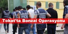 Tokat'ta Bonzai Operasyonu: 9 Tutuklama