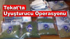 Tokat'ta Uyuşturucu Operasyonu