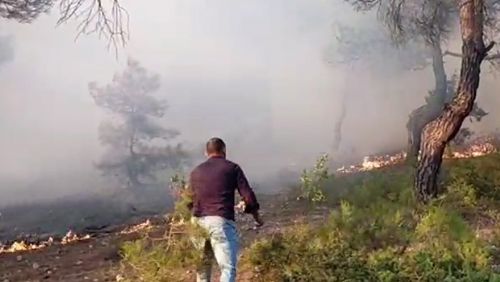 Tokat'taki orman yangını 2 saatte kontrol altına alındı