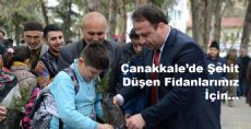 Toprağa Düşen Fidanlar İçin