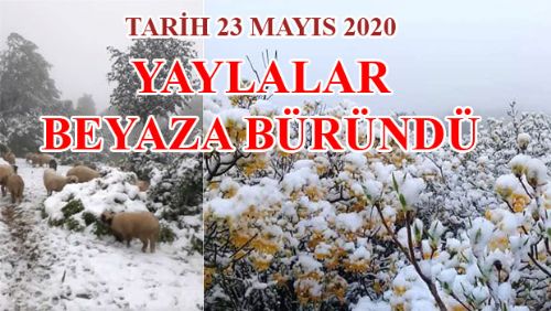 YAYLA VE RAKIMI YÜKSEK KÖYLER GÜNE BEYAZ ÖRTÜ İLE UYANDI