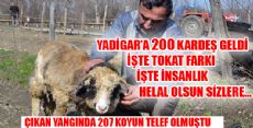 Yadigar Artık Yalnız Değil