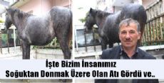 Yaylada Donmak Üzereydi