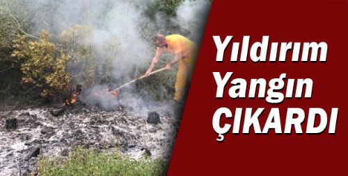 Yıldırım Düşen Ormanda Yangın Çıktı