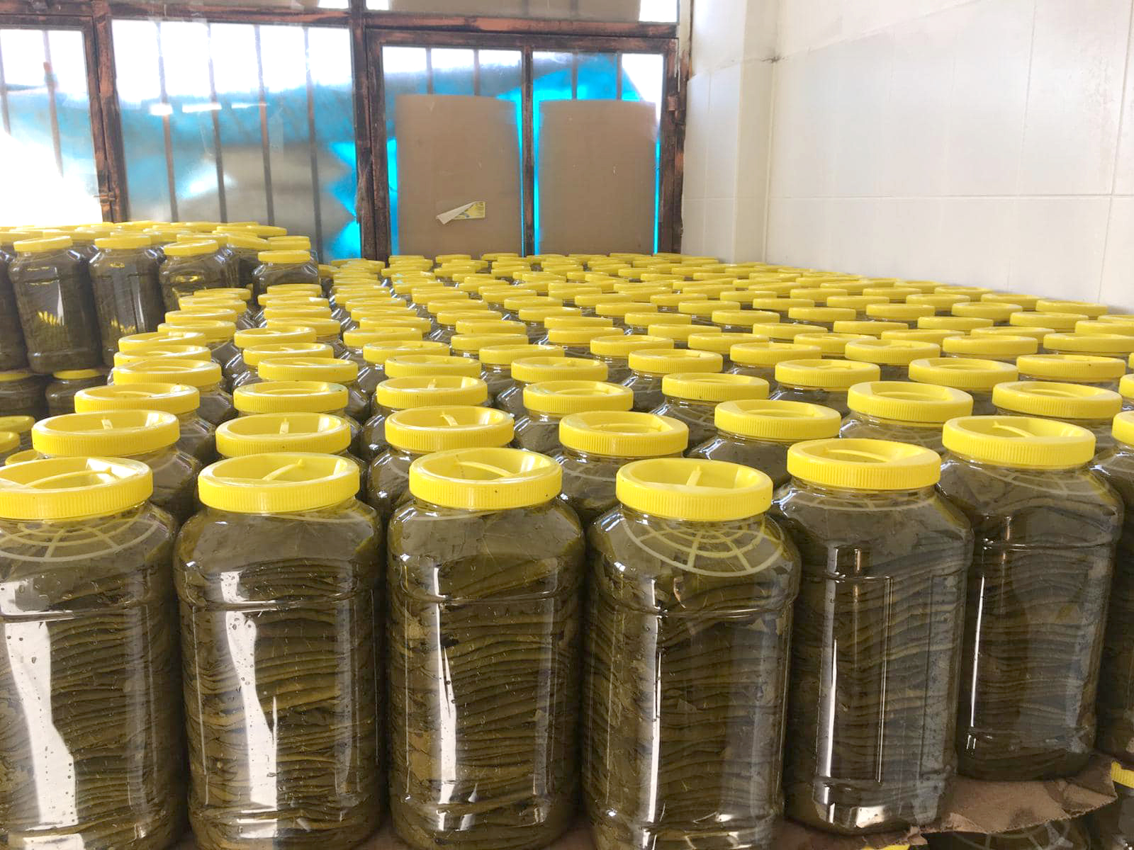 ERBAA YAPRAĞI MI ARIYORSUNUZ? YAREN YAPRAKÇILIK HİZMETİNİZDE