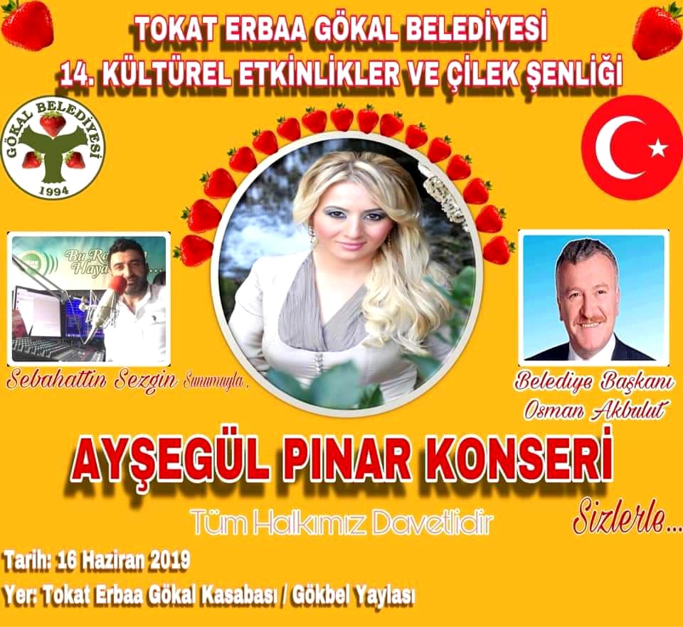MEŞHUR GÖKAL ÇİLEK FESTİVALİ 16 HAZİRAN'DA